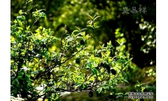 �ն������ú��ղش��ڵ�����