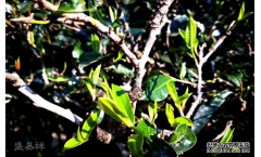 �����Ҳ豣���ڶ೤ʱ��?���۸����Ǯһ��