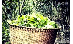 ������Ƭ�Ĵ�˵